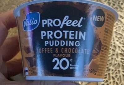 Pudding Protein