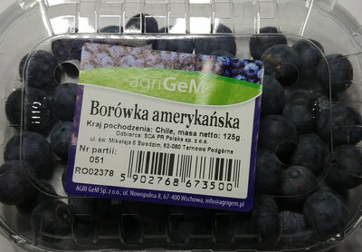 Borówka amerykańska AgriGeM