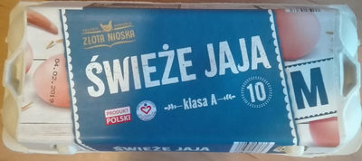 Świeże jaja złota niosa