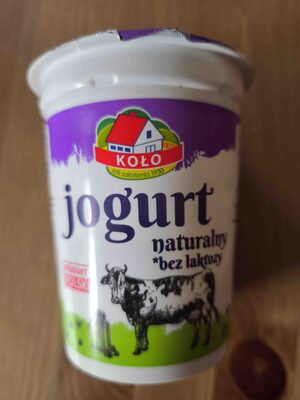 Jogurt Naturalny Bez Laktozy